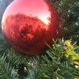 Курганов Александр 